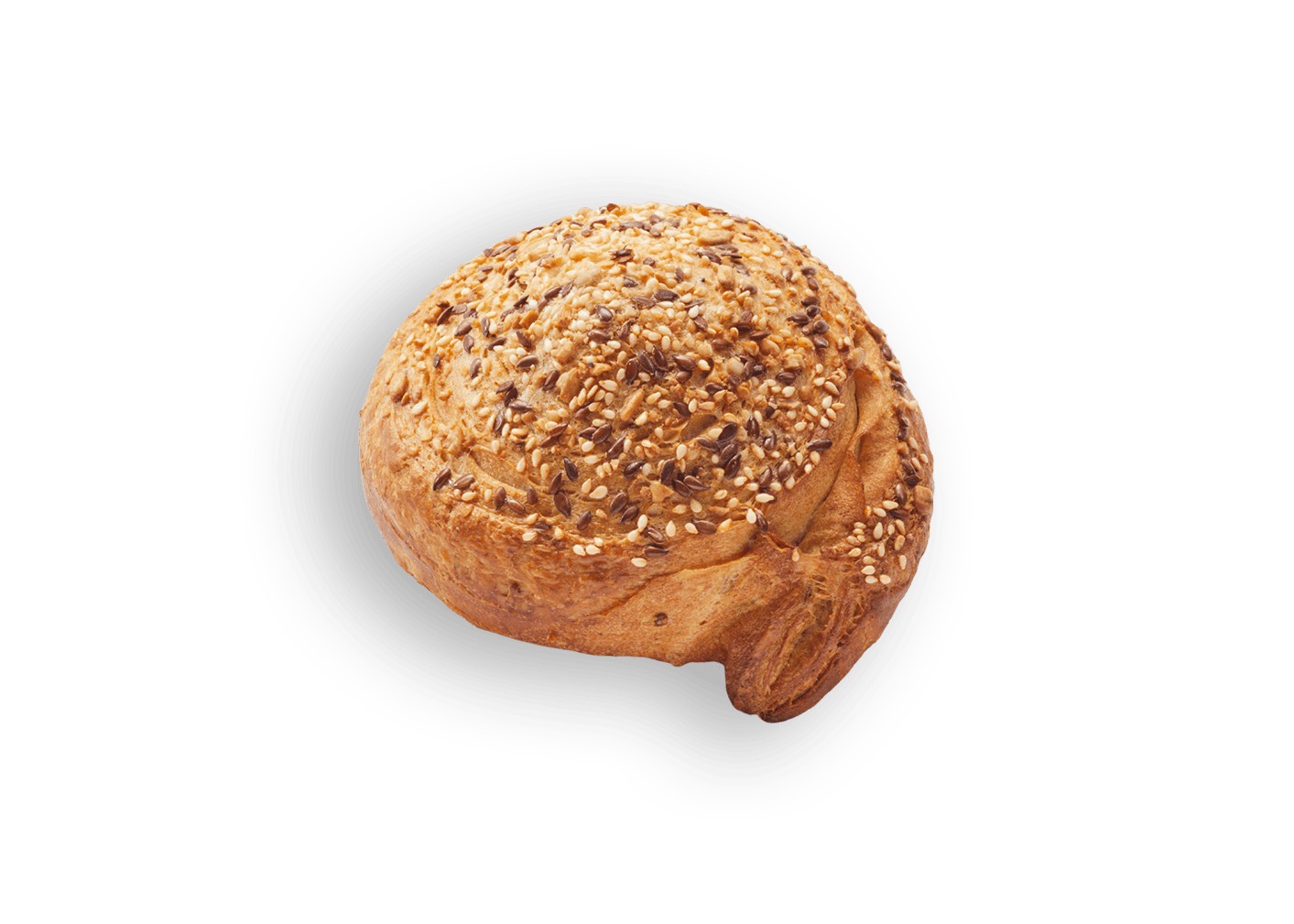 Kornschnecke