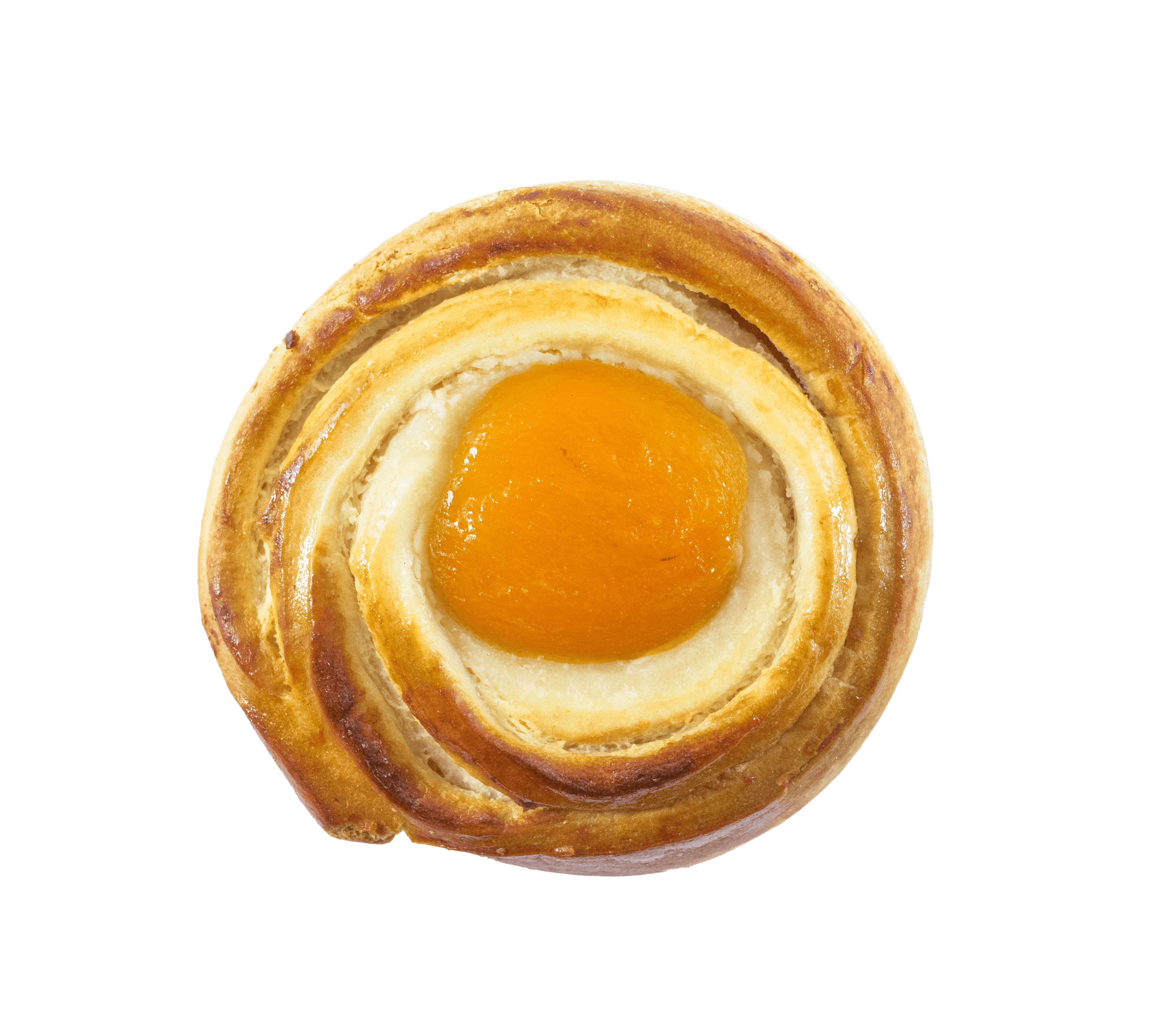 Marillen-Topfen-Schnecke